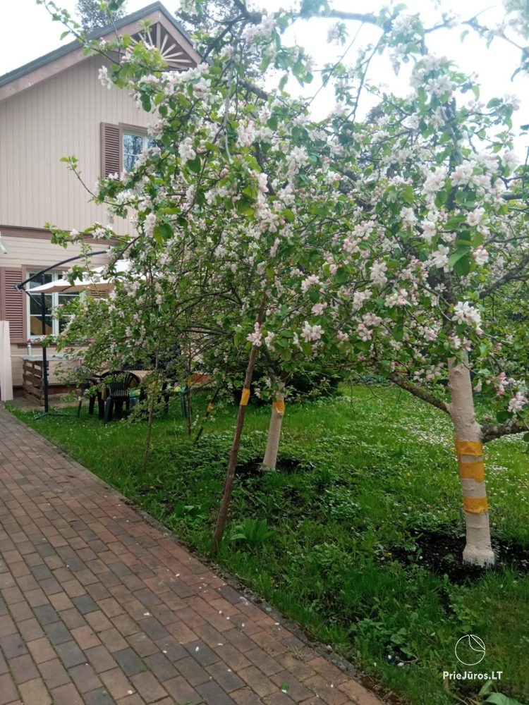 Apartment rental in Jūrmala