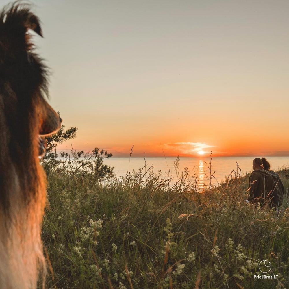 Camping Kalēji und Ferienhäuser zur Miete in Liepoja