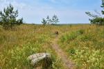 Camping Kalēji und Ferienhäuser zur Miete in Liepoja