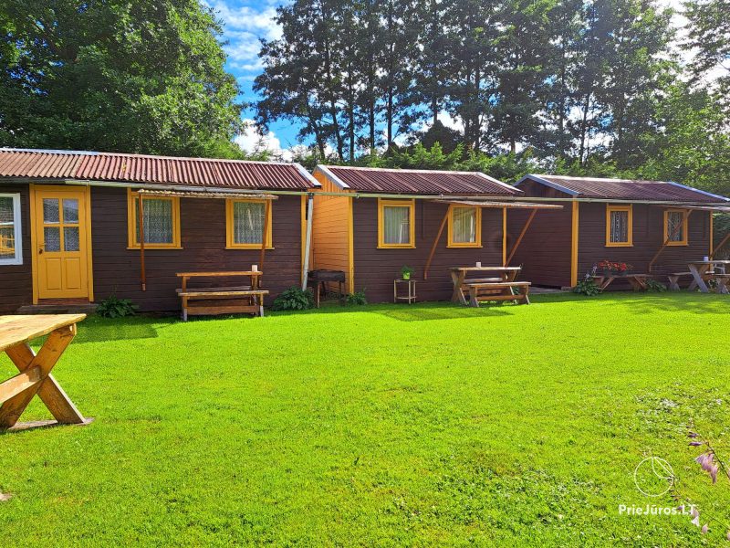 Little holiday houses and apartment for rent in Palanga, in rest place Pusynelis
