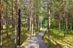 Guest house Laikas - cottages, rooms, camping. To the sea - 300 m