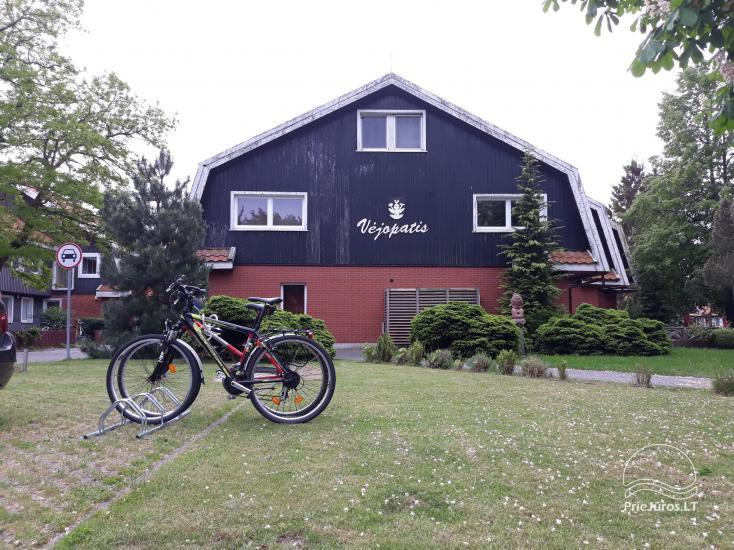 Vermietung der Apartment in Perwelk, Kurische Nehrung: “Vejopatis West-Attic”