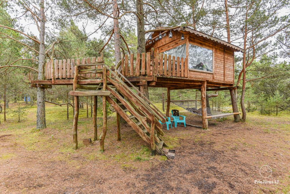 Camping in Pavilosta Miera osta - 1