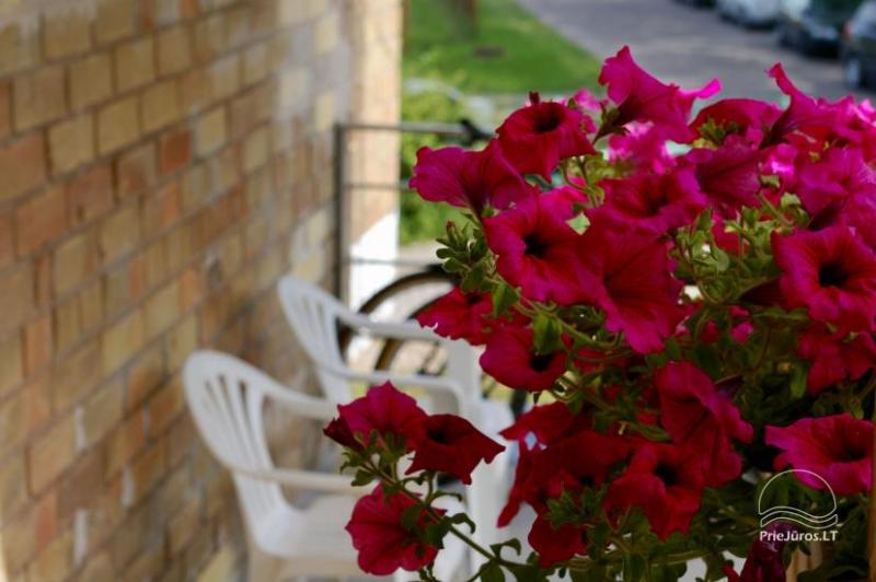 Rooms for rent in Sventoji, just 2 minutes to the sea