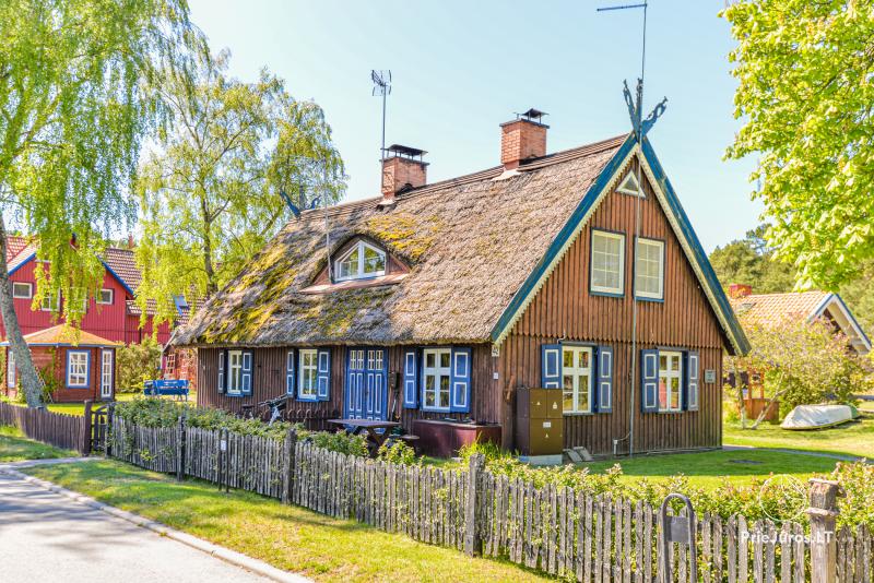 Ovidijus apartments do wynajęcia w Perwałce