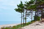 Домики в Вентспилском р. Videnieki 400 м до моря, 12 км от города Вентспилс - 2