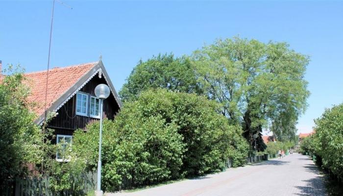 Zimmer zu vermieten Pas Virginija