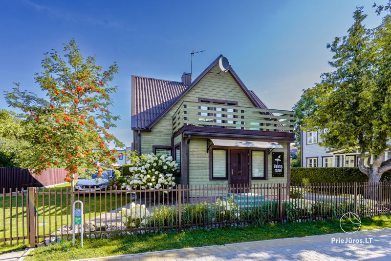 Violeta's house. Flats, rooms for rent in Palanga