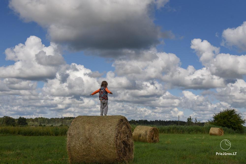 Anwesen Jurmalnieki