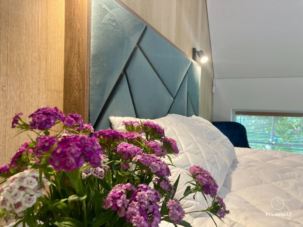 Holiday houses ROGAS for rent in Latvia