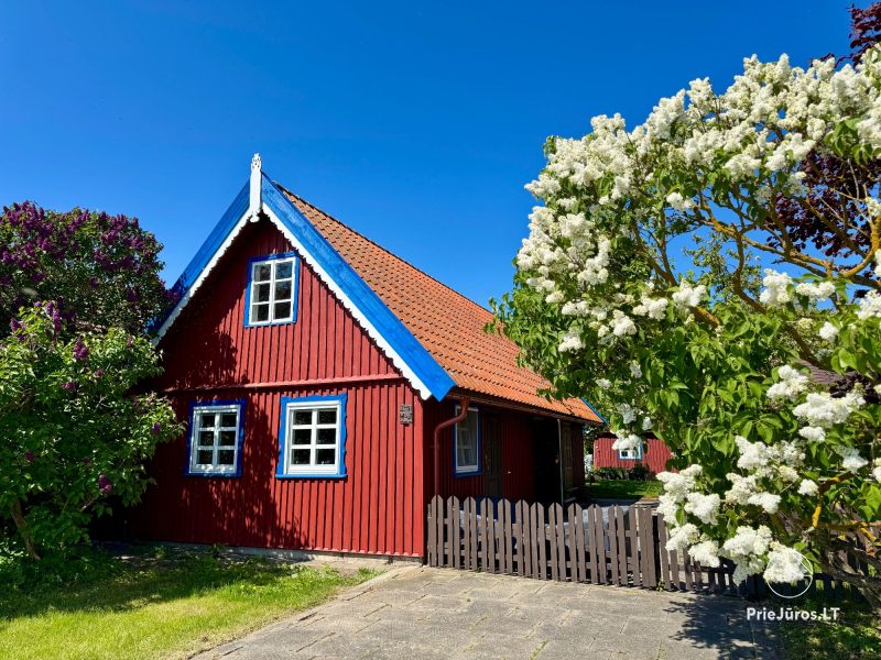 Flat, cottage and log-hut Rent in Nida
