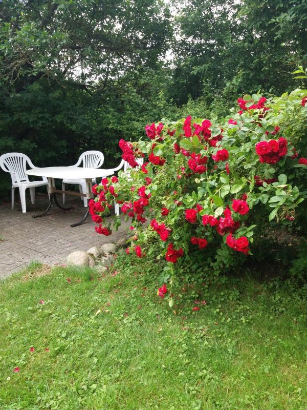 Homestead, rooms for rent in Ventė, near the Baltic sea