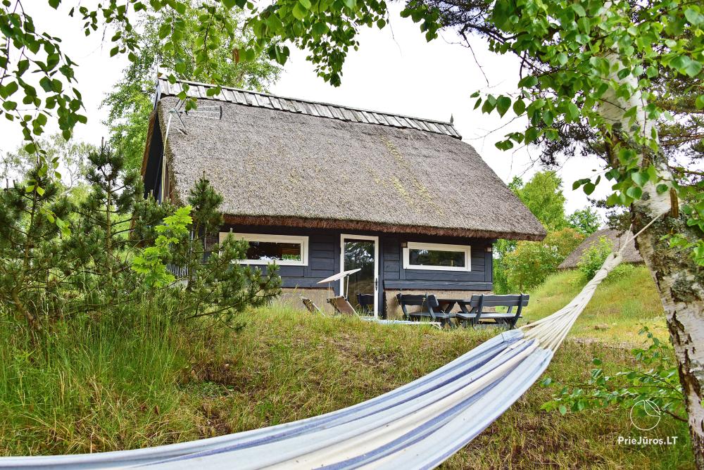 Countryside Farmstead  Agatnieki - 370 meters to the sea, in Nature Park of the Pape