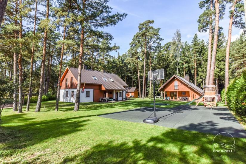 Apartment Mežsargi - in a cozy pine wood, 250 m from the sea! - 1