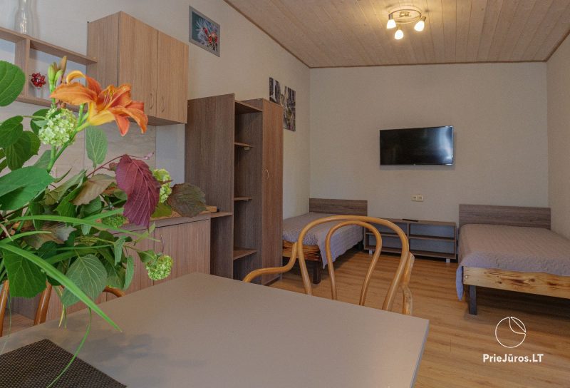 Holiday houses Pylimo slenis