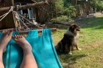 Herzlich willkommen! - 2