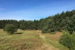 Herzlich willkommen! - 5