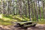 Campsite for tents and campers