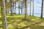 House on the shore - 5