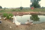 Oкружение - 3